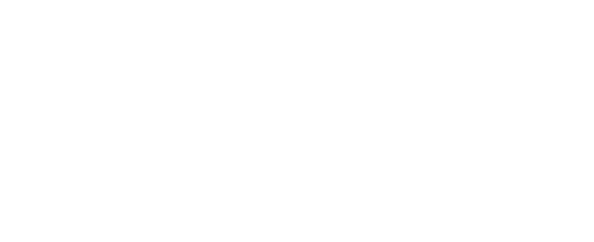 BDSoftware Logo